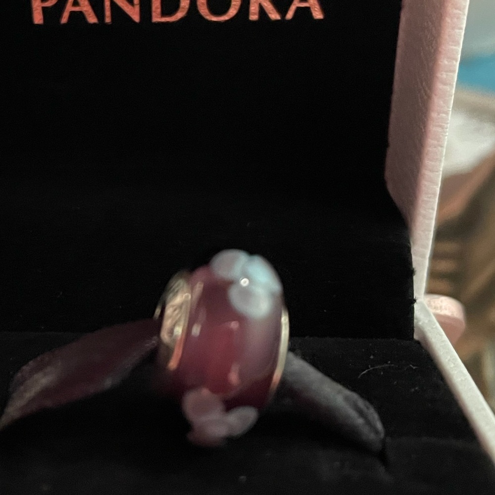 Retired Pandora Murano Glass Bead